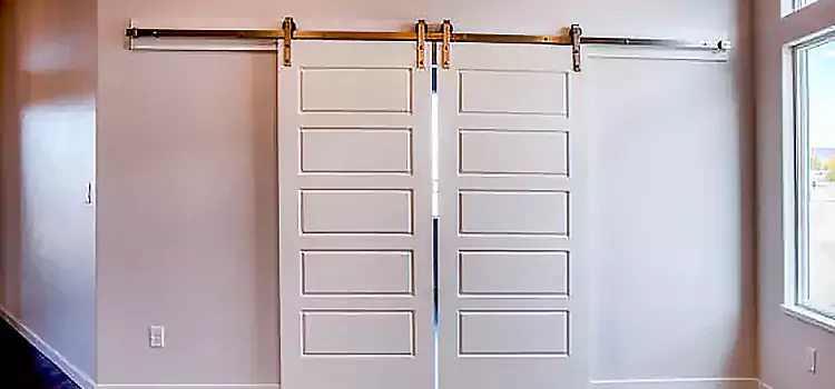 Glass Barn Door with Installation Hardware Kit Reston