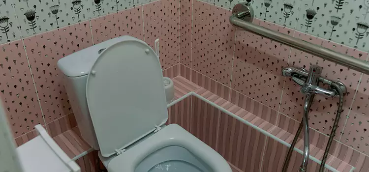 Meeting Diverse Needs With Accessible Restroom Solutions in Reston, VA